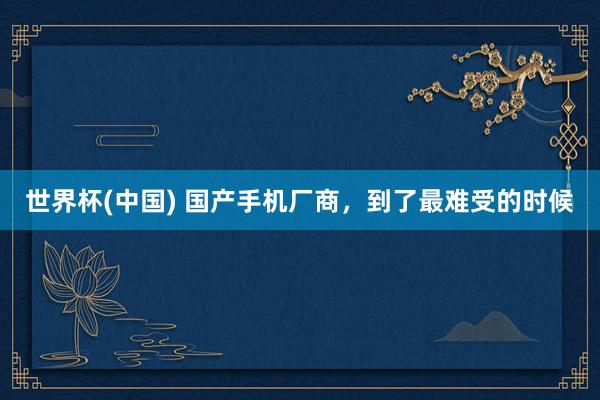 世界杯(中國) 國產手機廠商，到了最難受的時候