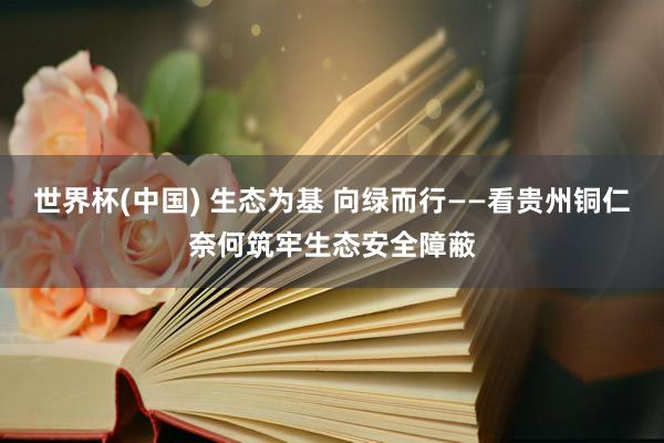 世界杯(中國) 生態為基 向綠而行——看貴州銅仁奈何筑牢生態安全障蔽