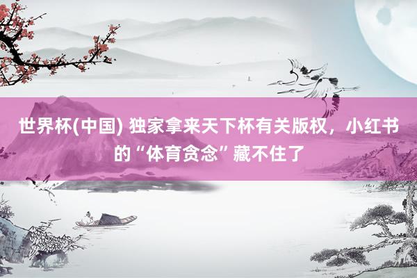 世界杯(中國) 獨家拿來天下杯有關版權，小紅書的“體育貪念”藏不住了